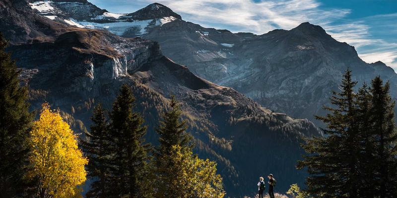 Navigating USA Study Abroad: A Comprehensive Guide with CDM Consulting and Immigration Insights