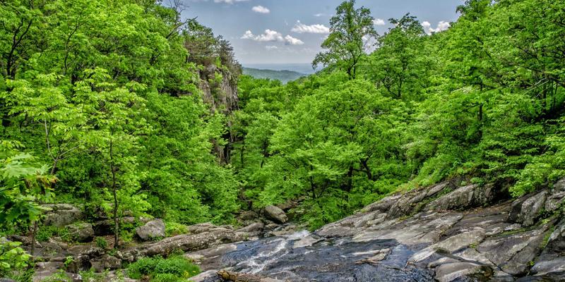 USA Study Abroad：全面解析美国留学与签证咨询服务