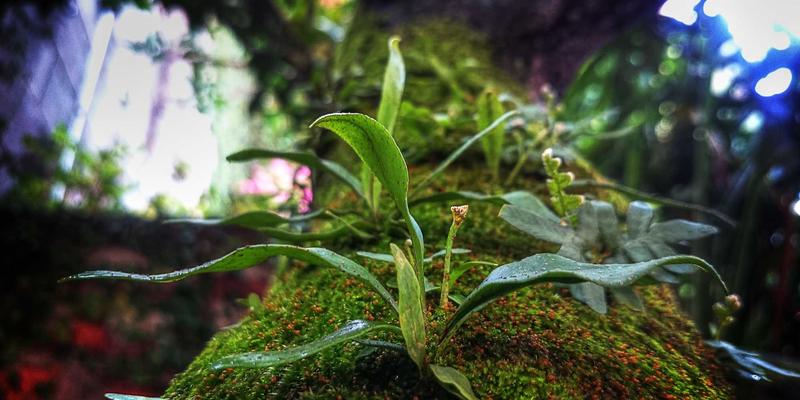 如何选择适合你的美国大学：国际学生留学指南 | Overseas Education & USA Study Abroad