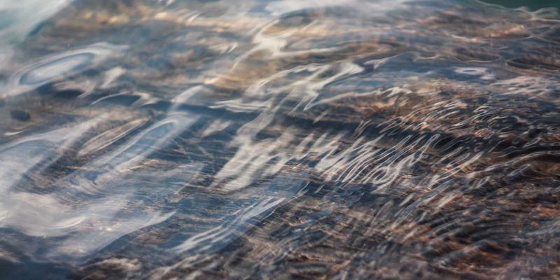 携带家属赴美留学：F2签证持有者的生活、学习与工作限制全解读 | 美国移民与留学指南