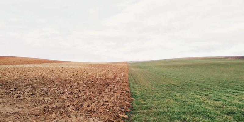 美国博士申请全流程解析：从联系导师到US immigration规划，CDM consulting助你成功