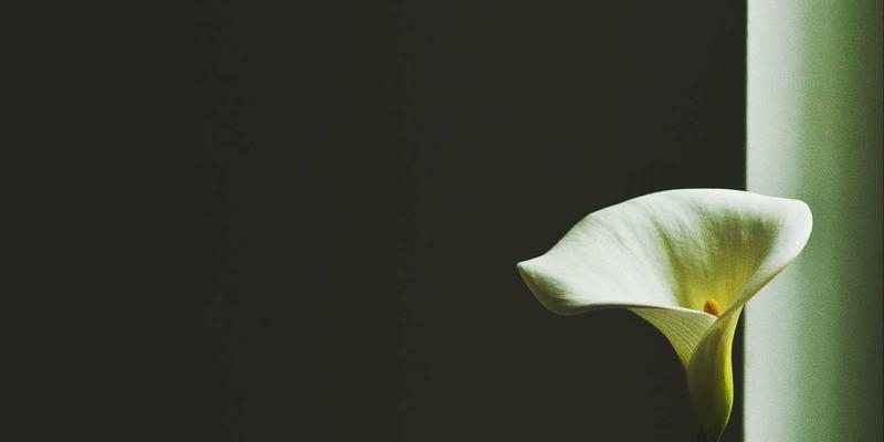 美国博士申请全解析：如何联系导师、撰写研究计划与争取奖学金