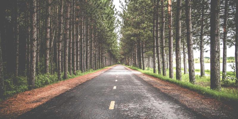 美国留学住宿全攻略：校内宿舍、校外公寓与寄宿家庭的利弊解析 | 签证与身份考量