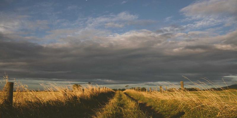 美国留学住宿选择全解析：校内宿舍、校外公寓与寄宿家庭的利弊对比 | Visa Consulting & US Immigration