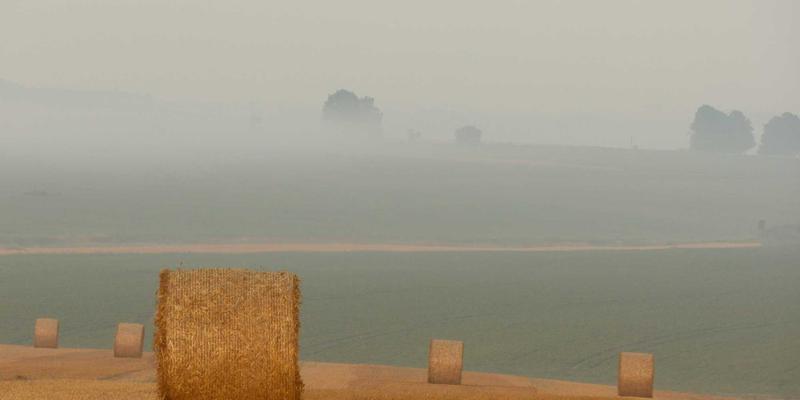 美国留学背景提升全攻略：科研、实习与课外活动如何优化你的student visa申请与海外教育体验