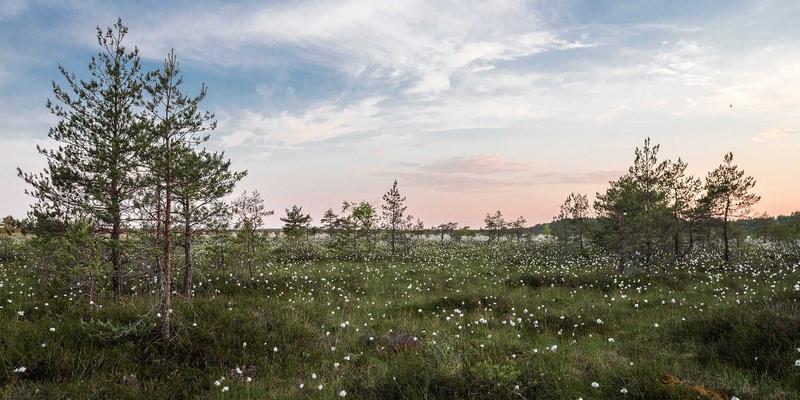 美国留学行前准备终极清单：从体检、住宿到文化适应，助你顺利开启海外教育之旅