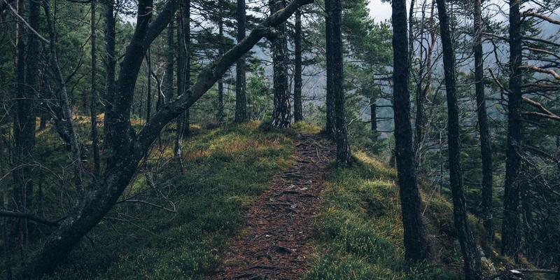 美国留学行前终极清单：从签证咨询到落地安顿的完整指南