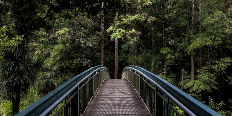 赴美留学优势解析：海外教育、签证咨询与美国移民的黄金三角