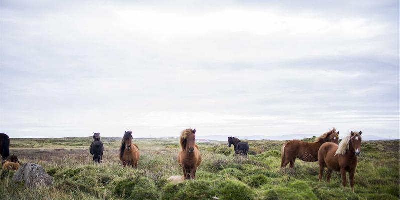赴美留学新趋势：教育选择、签证动态与移民路径的深度解析