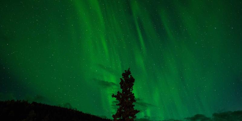 跨越文化与心理的双重挑战：美国留学签证持有者的适应指南